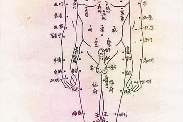 全身痣相解析女,人身痣相图解女