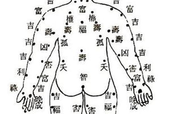 测痣相app免费-男人全身痣相图解测命运