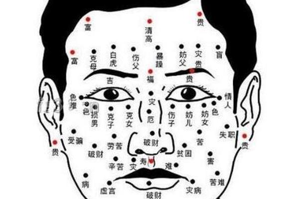 痣相图解男相的含义—男士痣相学大全图解