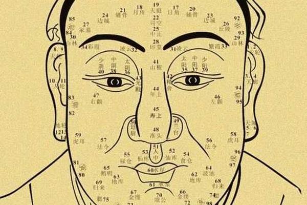 麻衣相法左肩上长痣;左肩长痣女人代表什么