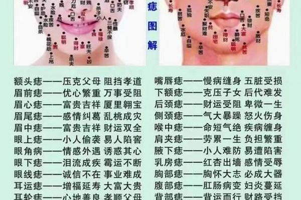 痣相116 痣相大全书籍