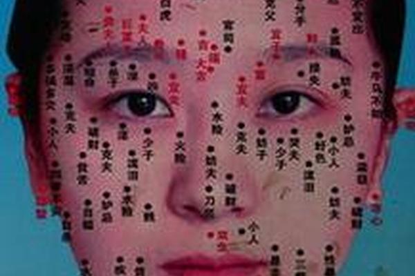 粉皮中国痣相大全书—痣相书籍在线阅读
