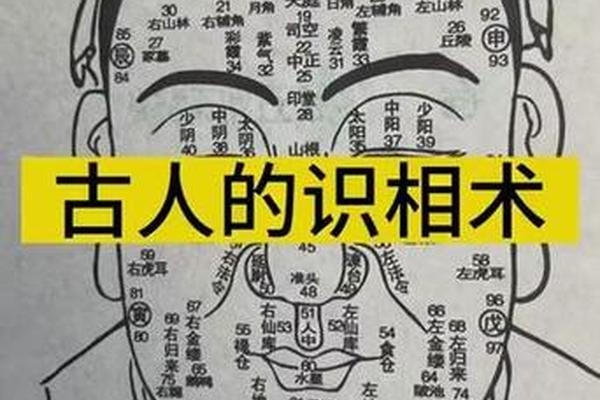 女人下巴底痣相最准图,女性下巴最底部痣相图解