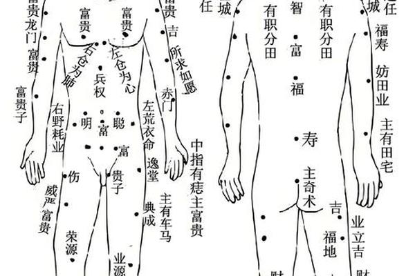 屁股痣相解图、胯骨上方痣图解大全