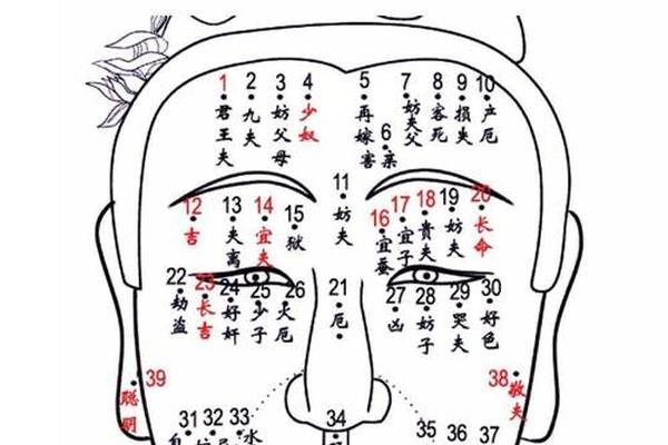 女人左眉痣相最准图解_女人身上痣相最准图图解意思
