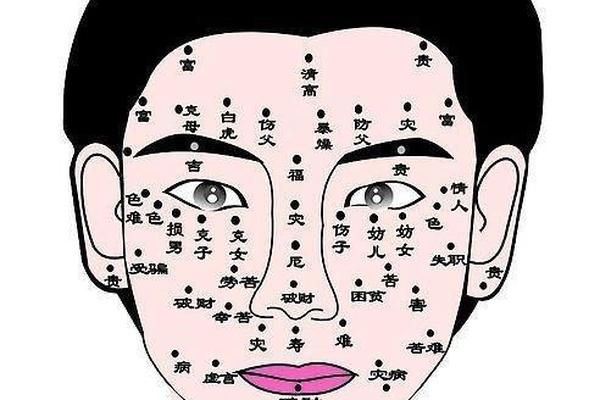 痣相脖子部痣相图解大全(脖子长痣的位置图解)