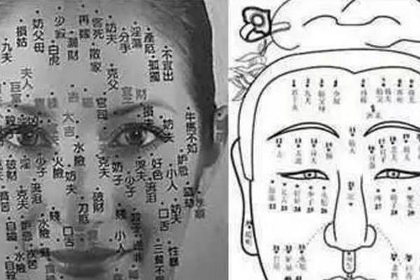 面相学和痣相-面部长痣全部图
