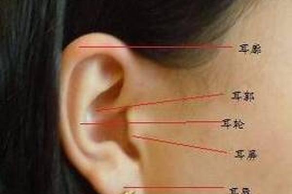 克夫相的女人痣图 女人耳朵上的痣图解 克夫相的女人痣图 女人耳朵上的痣图解