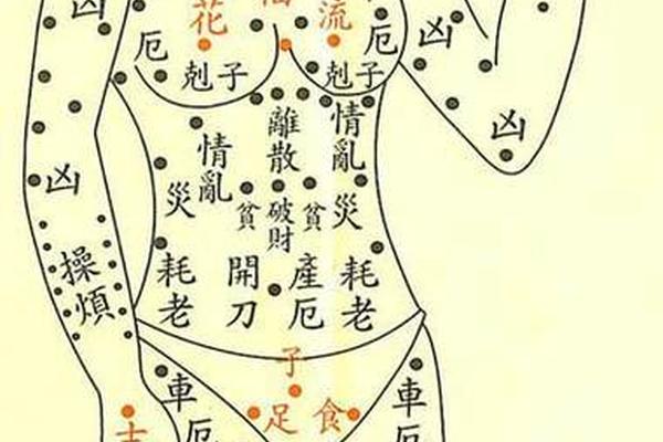 女性身体痣相图解 痣相,女人身体有痣图解