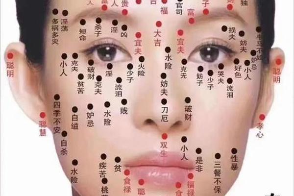 痣相的左右怎么看_女子痣面相图左右