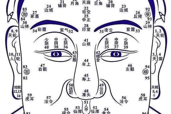男人面部痣相最准图鼻子;男面部痣相图解 最全 男人面部痣相最准图鼻子;男面部痣相图解 最全