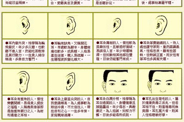 耳骨有痣相(耳朵长痣面相图解)