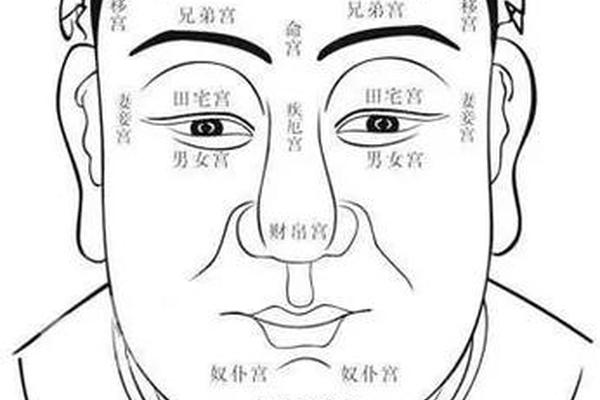 麻衣神相眉毛里有痣 麻衣神相图解眉毛看相