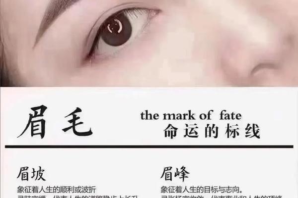 眉痣相女文案 好看的眉毛文案