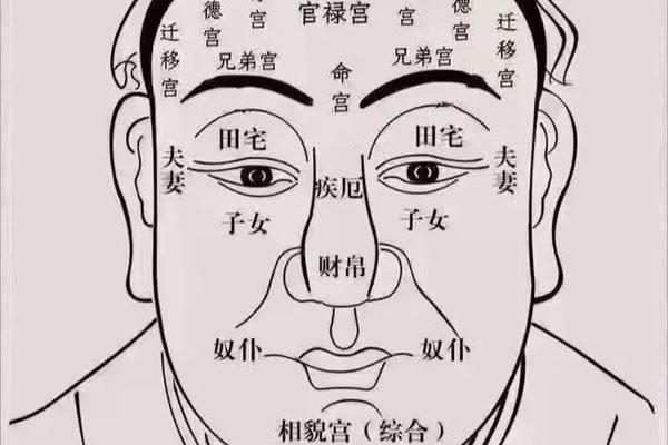 脸上的痣相星座 鼻子痣的位置与命运图