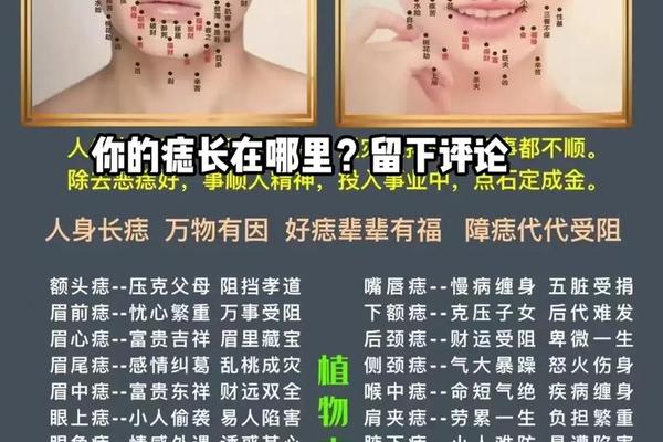 痣相女人痣相图解大全(女性脸上的痣图片及全解左右)