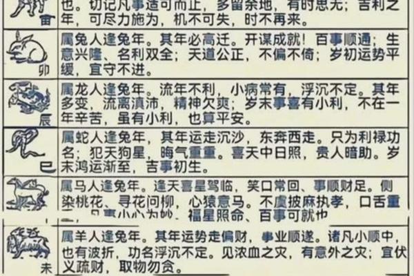 属鼠人2023年全年运势运程女