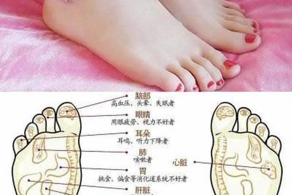 女人左脚各部位痣相 女人左脚内侧有痣代表什么全图解