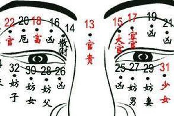 麻衣神相 锁骨上的痣;男人身上最好的16痣