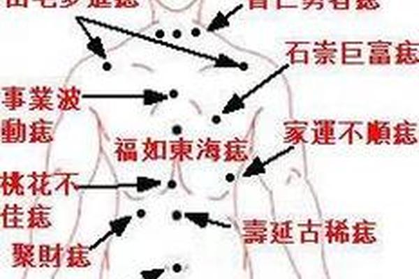 人体相痣—男人全身痣的位置与命运图解 人体相痣—男人全身痣的位置与命运图解