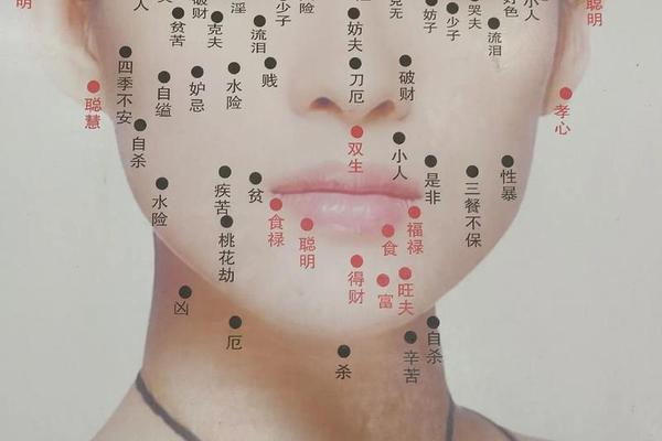 女人鼻子旁痣相最准图-女人痣相图解