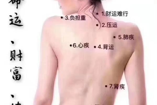 女人后背左侧痣相最准图,女人背上痣图解命运