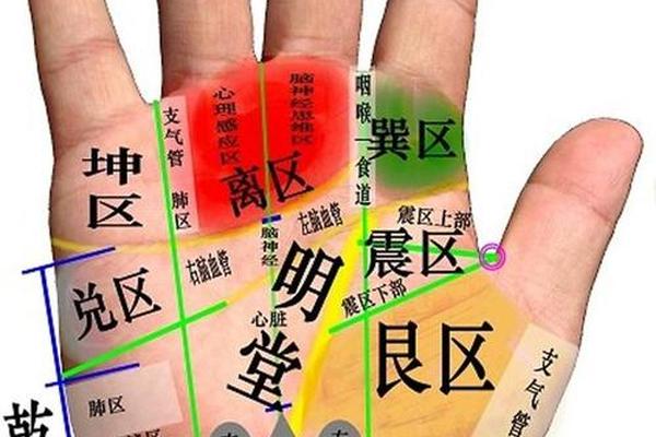 手心痣相大全 手心不同位置的痣图解