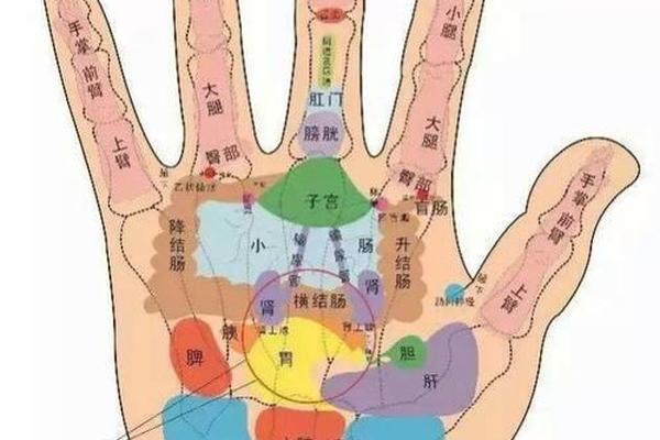 各种痣相吉凶图解女_手掌痣相图解