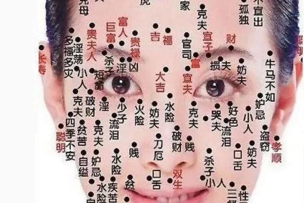 女人痣相大全 解说、女人面部痣相最准图 女人痣相大全 解说、女人面部痣相最准图