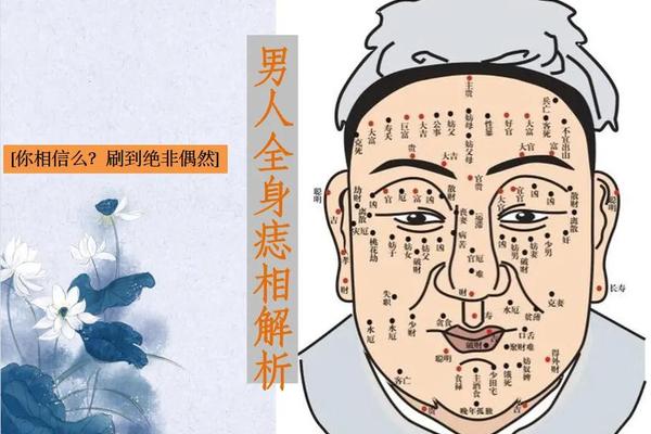 痣相大全图解身上-全身痣相最准图
