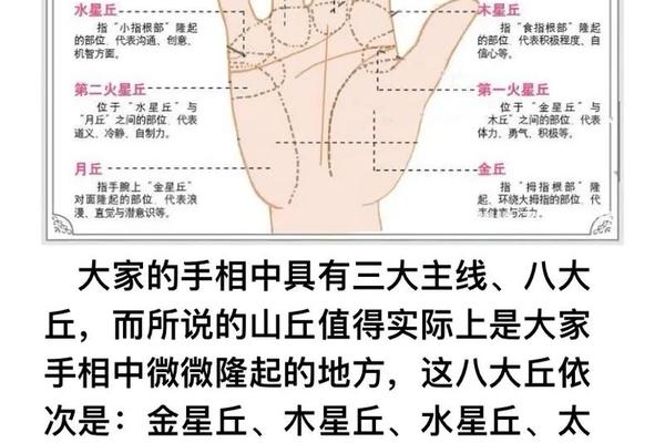 痣相刹,女人右手掌心有痣图解大全
