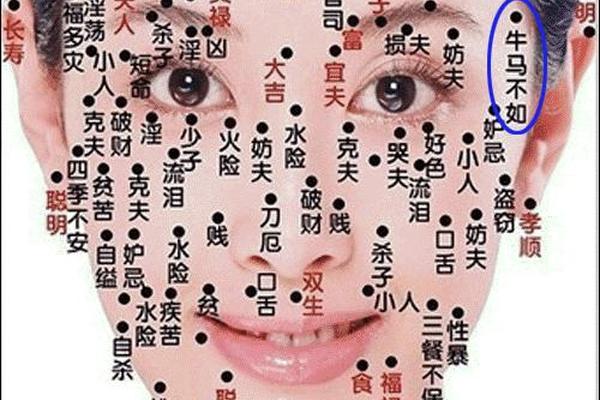 男性痣相牛马_男人长牛马痣好不好 男性痣相牛马_男人长牛马痣好不好