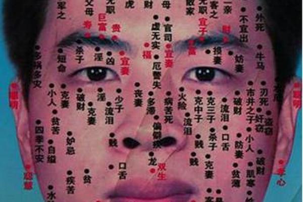 痣相肩膀下面有痣(痣相大全图解)