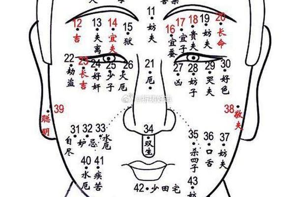 面相痣相大全图灾厄,面相痣图解大全