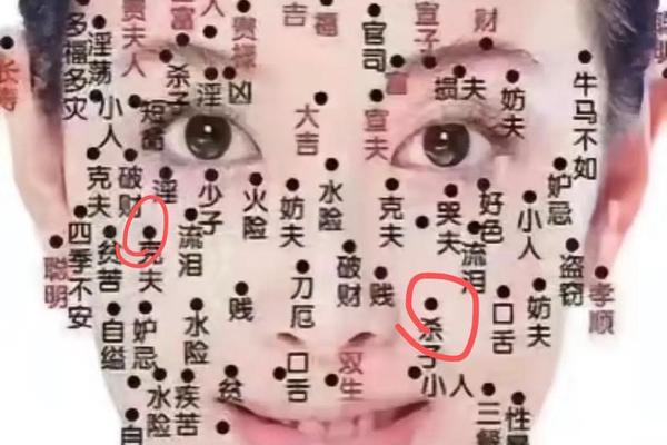 女性横财痣相(女人手臂有痣图解) 女性横财痣相(女人手臂有痣图解)