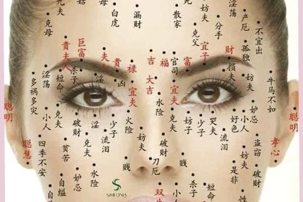 痣相怎样分左右 痣相图哪边是左右
