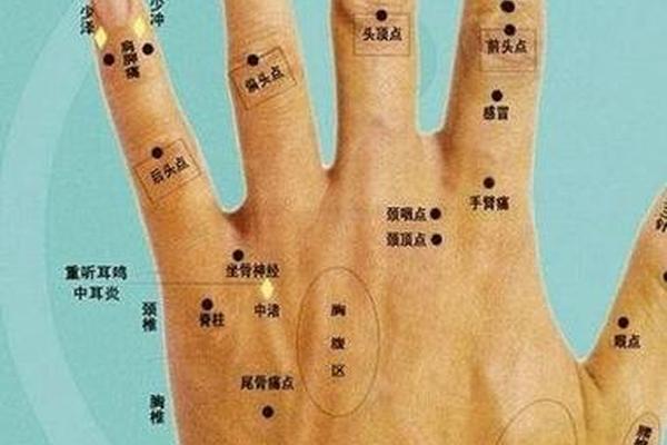 痣相女+左手 女人左手有痣全图解详细介绍