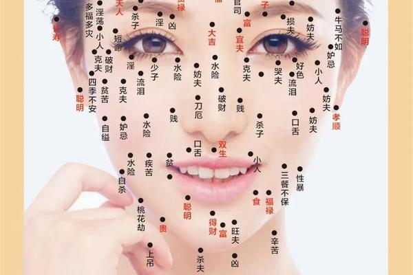 面相和痣相的区别图解女 面相痣图解女详细 面相和痣相的区别图解女 面相痣图解女详细