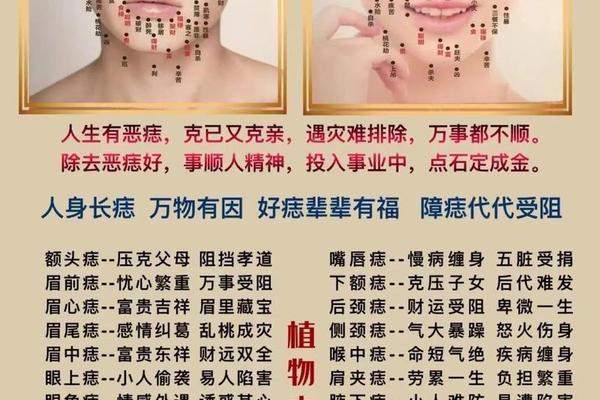 痣相准码、关于痣的说法可信吗