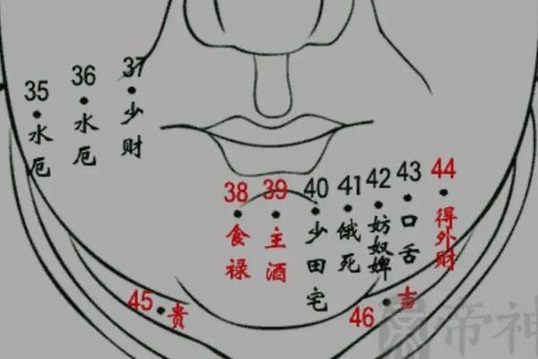 女生下巴痣相解析,男生面部痣相图解