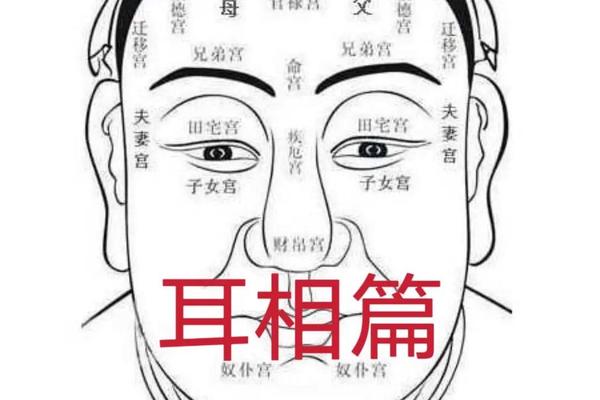双耳垂有痣相最准图,双耳长痣代表什么