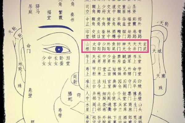 熊神进痣相_麻衣神相痣图解男