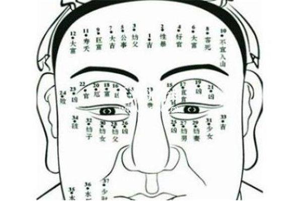 男人颈部痣相最新图解、男人脖子上的痣图解大全