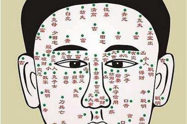 男相痣的图片大全、男子面相痣相图解大全