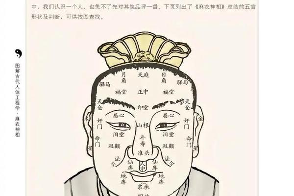 麻衣神相鼻翼两侧都有痣、女人痣相图解