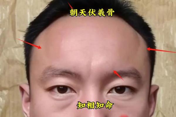 伏羲相痣、男人伏羲骨面相图解