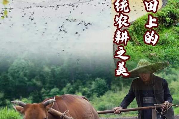 讲述传统农耕文化故事-农耕文化典型代表