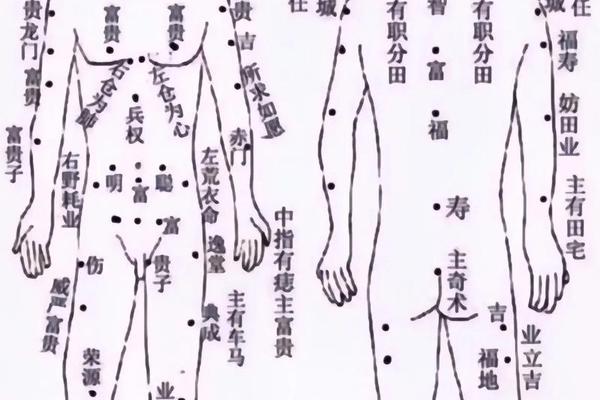 痣相诀pdf下载(面相全图解析软件)