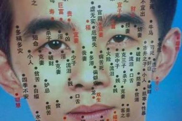 麻衣神相痣图片_麻衣神相 痣