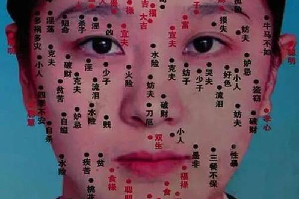 痣相女脸图怎么分左右(脸痣相图解大全女是真的嘛)
